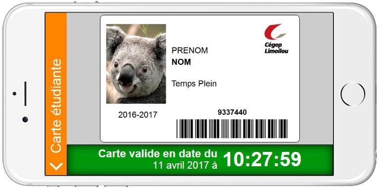 Exemple de carte étudiante avec photo, nom prénom, logo du Cégep Limoilou, carte valide en date du 11 avril 2017 10:27:59