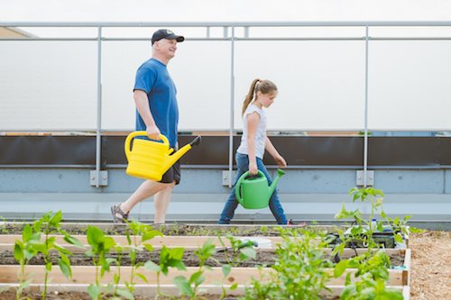 Homme avec arrosoir jaune, femme avec arrosoir vert sur le toit vert pour jardiner