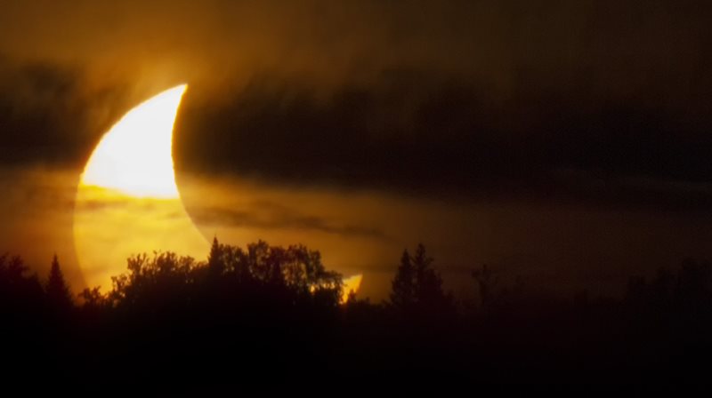 Croissant de lune par-dessus des arbres